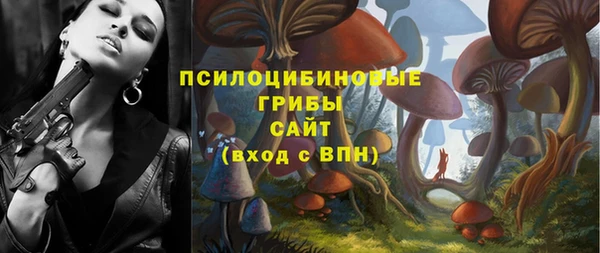 прущий лед Лагань
